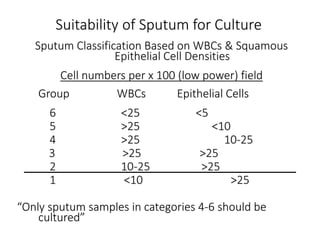 Suitability of Sputum for Culture
Sputum Classification Based on WBCs & Squamous
Epithelial Cell Densities
Cell numbers per x 100 (low power) field
Group WBCs Epithelial Cells
6 <25 <5
5 >25 <10
4 >25 10-25
3 >25 >25
2 10-25 >25
1 <10 >25
“Only sputum samples in categories 4-6 should be
cultured”
 