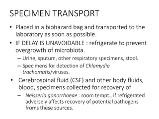SPECIMEN TRANSPORT
• Placed in a biohazard bag and transported to the
laboratory as soon as possible.
• IF DELAY IS UNAVOIDABLE : refrigerate to prevent
overgrowth of microbiota.
– Urine, sputum, other respiratory specimens, stool.
– Specimens for detection of Chlamydia
trachomatis/viruses.
• Cerebrospinal fluid (CSF) and other body fluids,
blood, specimens collected for recovery of
– Neisseria gonorrhoeae : room tempt., if refrigerated
adversely affects recovery of potential pathogens
froms these sources.
 