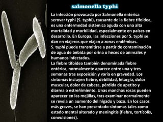 La infección provocada por Salmonella enterica
serovar typhi (S. typhi), causante de la fiebre tifoidea,
es una enfermedad sistémica aguda con una alta
mortalidad y morbilidad, especialmente en países en
desarrollo. En Europa, las infecciones por S. typhi se
dan en viajeros que viajan a zonas endémicas.
S. typhi puede transmitirse a partir de contaminación
de agua de bebida por orina o heces de animales y
humanos infectados.
La fiebre tifoidea también denominada fiebre
entérica, normalmente aparece entre una y tres
semanas tras exposición y varía en gravedad. Los
síntomas incluyen fiebre, debilidad, letargia, dolor
muscular, dolor de cabeza, pérdida de apetito y
diarrea o estreñimiento. Unas manchas rosas pueden
aparecer en las mejillas, tras examinar normalmente
se revela un aumento del hígado y bazo. En los casos
más graves, se han presentado síntomas tales como
estado mental alterado y meningitis (fiebre, tortícolis,
convulsiones).
 