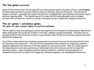 11
The hrp genes (continued)
Some of the proteins that the hrp type III secretion system injects into plant cells are called harpins.
Purified harpin proteins have been found to cause an HR when injected into plants. The function of
harpins is unclear - one would not expect the bacteria to deliberately inject proteins that would cause a
defense response (HR)! The harpins may act to cause the XR to provoke plant cells to release
nutrient that will allow the bacteria to grow in the plant during a compatible (disease) interaction.
The avr genes = avirulence genes.
The gene-for-gene concept applies to bacterial pathogens
The avr genes in bacterial pathogens control host specificity via the gene-for-gene system. Mutations in
these genes make the bacterium invisible to the host defense recognition system. The plant fails to
develop an HR and the bacterium is able to cause disease. Over 40 bacterial avirulence genes have been
isolated and sequenced.
Very little is known about how avirulence gene products (proteins) function but biochemical acitivities
are starting to be discovered. The activity of avr genes and their products in triggering a defense
response depends on the function of the hrp system for protein secretion. That is, at least some of
the known bacterial avirulence proteins act inside plant cells after delivery by the hrp type III
secretion system. Some avirulence products may be involved in virulence (causing disease in a
compatible interaction) in addition to triggering a defense response in an incompatible interaction.
 