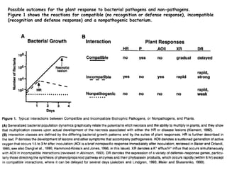 7
Possible outcomes for the plant response to bacterial pathogens and non-pathogens.
Figure 1 shows the reactions for compatible (no recognition or defense response), incompatible
(recognition and defense response) and a nonpathogenic bacterium.
 