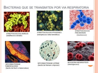 BACTERIAS QUE SE TRANSMITEN POR VIA RESPIRATORIA
 
