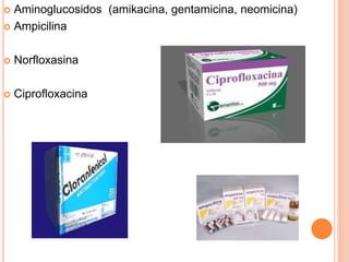  Aminoglucosidos (amikacina, gentamicina, neomicina)
 Ampicilina
 Norfloxasina
 Ciprofloxacina
 