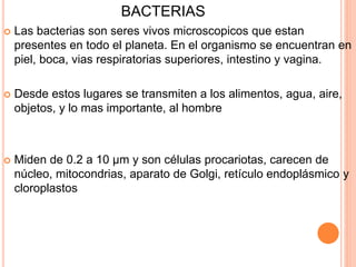 BACTERIAS
 Las bacterias son seres vivos microscopicos que estan
presentes en todo el planeta. En el organismo se encuentran en
piel, boca, vias respiratorias superiores, intestino y vagina.
 Desde estos lugares se transmiten a los alimentos, agua, aire,
objetos, y lo mas importante, al hombre
 Miden de 0.2 a 10 μm y son células procariotas, carecen de
núcleo, mitocondrias, aparato de Golgi, retículo endoplásmico y
cloroplastos
 