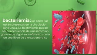 bacteriemia:las bacterias
están presentes en la circulación
sanguínea. La bacteriemia puede
ser consecuencia de una infección
grave o de algo tan inofensivo como
un cepillado de dientes enérgico
 