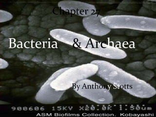              Chapter 27 Bacteria    &Archaea By Anthony Stotts 