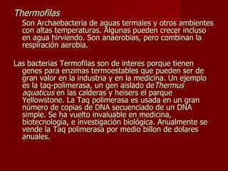 Thermofilas Son Archaebacteria de aguas termales y otros ambientes con altas temperaturas. Algunas pueden crecer incluso en agua hirviendo. Son anaerobias, pero combinan la respiración aerobia.  Las bacterias Termofilas son de interes porque tienen genes para enzimas termoestables que pueden ser de gran valor en la industria y en la medicina. Un ejemplo es la taq-polimerasa, un gen aislado de Thermus aquaticus  en las calderas y heisers el parque Yellowstone. La Taq polimerasa es usada en un gran número de copias de DNA secuenciado de un DNA simple. Se ha vuelto invaluable en medicina, biotecnología, e investigación biológica. Anualmente se vende la Taq polimerasa por medio billon de dolares anuales. 