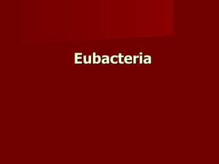 Eubacteria 