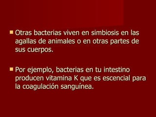 Otras bacterias viven en simbiosis en las agallas de animales o en otras partes de sus cuerpos. Por ejemplo, bacterias en tu intestino producen vitamina K que es escencial para la coagulación sanguínea. 
