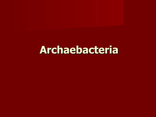 Archaebacteria 
