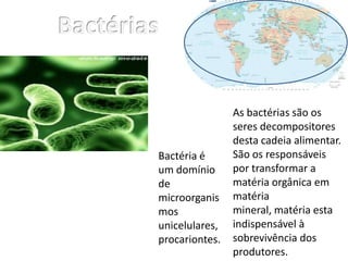 As bactérias são os
                seres decompositores
                desta cadeia alimentar.
Bactéria é      São os responsáveis
um domínio      por transformar a
de              matéria orgânica em
microorganis    matéria
mos             mineral, matéria esta
unicelulares,   indispensável à
procariontes.   sobrevivência dos
                produtores.
 