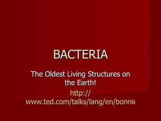 BACTERIA
 The Oldest Living Structures on
           the Earth!
             http://
www.ted.com/talks/lang/en/bonnie_bassler
 