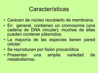 Características Carecen de núcleo recubierto de membrana. En  general, contienen un cromosoma (una cadena de DNA circular); muchas de ellas pueden contener plásmidos. La mayoría de las especies tienen pared celular. Se reproducen por fisión procariótica Presentan una amplia variedad de metabolismos.  