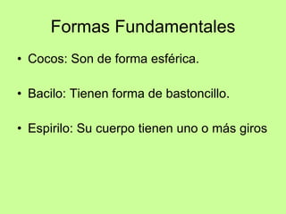 Formas Fundamentales Cocos: Son de forma esférica. Bacilo: Tienen forma de bastoncillo. Espirilo: Su cuerpo tienen uno o más giros 