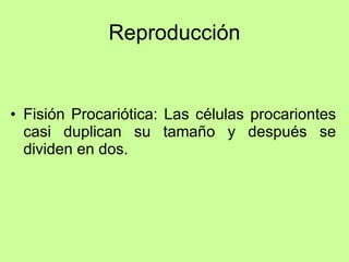 Reproducción Fisión Procariótica: Las células procariontes casi duplican su tamaño y después se dividen en dos. 