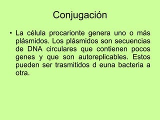 Conjugación La célula procarionte genera uno o más plásmidos. Los plásmidos son secuencias de DNA circulares que contienen pocos genes y que son autoreplicables. Estos pueden ser trasmitidos d euna bacteria a otra.  