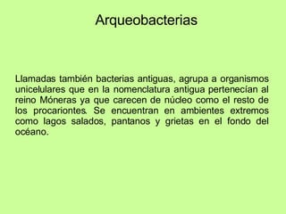 Arqueobacterias Llamadas también bacterias antiguas, agrupa a organismos unicelulares que en la nomenclatura antigua pertenecían al reino Móneras ya que carecen de núcleo como el resto de los procariontes. Se encuentran en ambientes extremos como lagos salados, pantanos y grietas en el fondo del océano.  