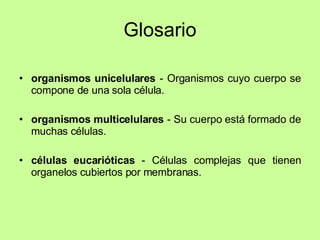 Glosario organismos unicelulares  - Organismos cuyo cuerpo se compone de una sola célula. organismos multicelulares  - Su cuerpo está formado de muchas células. células eucarióticas  - Células complejas que tienen organelos cubiertos por membranas. 