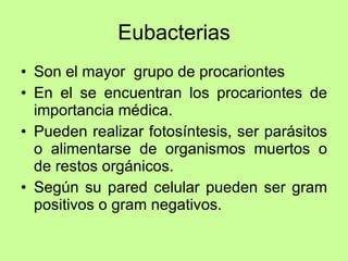 Eubacterias Son el mayor  grupo de procariontes En el se encuentran los procariontes de importancia médica. Pueden realizar fotosíntesis, ser parásitos o alimentarse de organismos muertos o de restos orgánicos. Según su pared celular pueden ser gram positivos o gram negativos.  