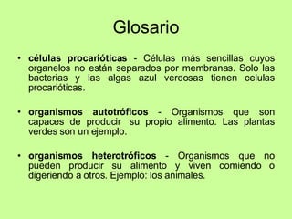 Glosario células procarióticas  - Células más sencillas cuyos organelos no están separados por membranas. Solo las bacterias y las algas azul verdosas tienen celulas procarióticas. organismos autotróficos  - Organismos que son capaces de producir  su propio alimento. Las plantas verdes son un ejemplo. organismos heterotróficos  - Organismos que no pueden producir su alimento y viven comiendo o digeriendo a otros. Ejemplo: los animales. 