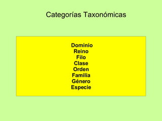   Categorías Taxonómicas   Dominio Reino Filo Clase Orden Familia Género Especie 