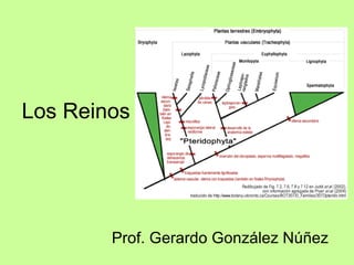 Los Reinos Prof. Gerardo González Núñez 