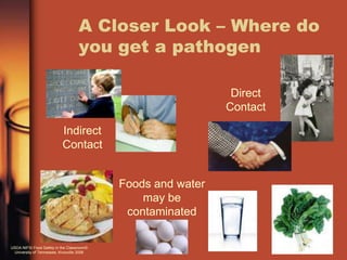 A Closer Look – Where do
                                   you get a pathogen

                                                              Direct
                                                             Contact

                          Indirect
                          Contact


                                           Foods and water
                                               may be
                                            contaminated

USDA NIFSI Food Safety in the Classroom©
 University of Tennessee, Knoxville 2006
 
