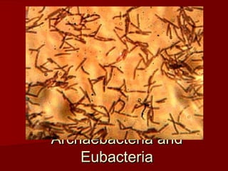 Archaebacteria and
    Eubacteria
 