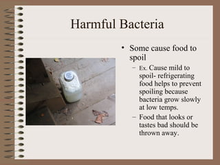 Harmful Bacteria
        • Some cause food to
          spoil
          – Ex. Cause mild to
            spoil- refrigerating
            food helps to prevent
            spoiling because
            bacteria grow slowly
            at low temps.
          – Food that looks or
            tastes bad should be
            thrown away.
 