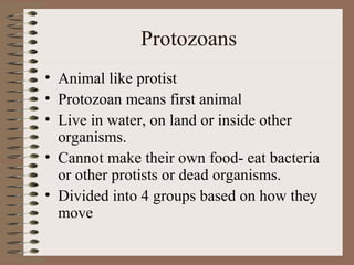 Protozoans
• Animal like protist
• Protozoan means first animal
• Live in water, on land or inside other
  organisms.
• Cannot make their own food- eat bacteria
  or other protists or dead organisms.
• Divided into 4 groups based on how they
  move
 