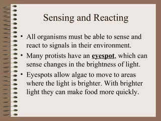 Sensing and Reacting
• All organisms must be able to sense and
  react to signals in their environment.
• Many protists have an eyespot, which can
  sense changes in the brightness of light.
• Eyespots allow algae to move to areas
  where the light is brighter. With brighter
  light they can make food more quickly.
 