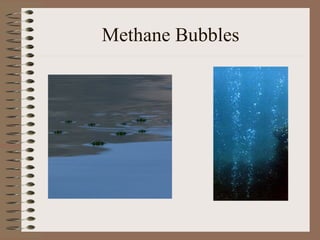Methane Bubbles
 