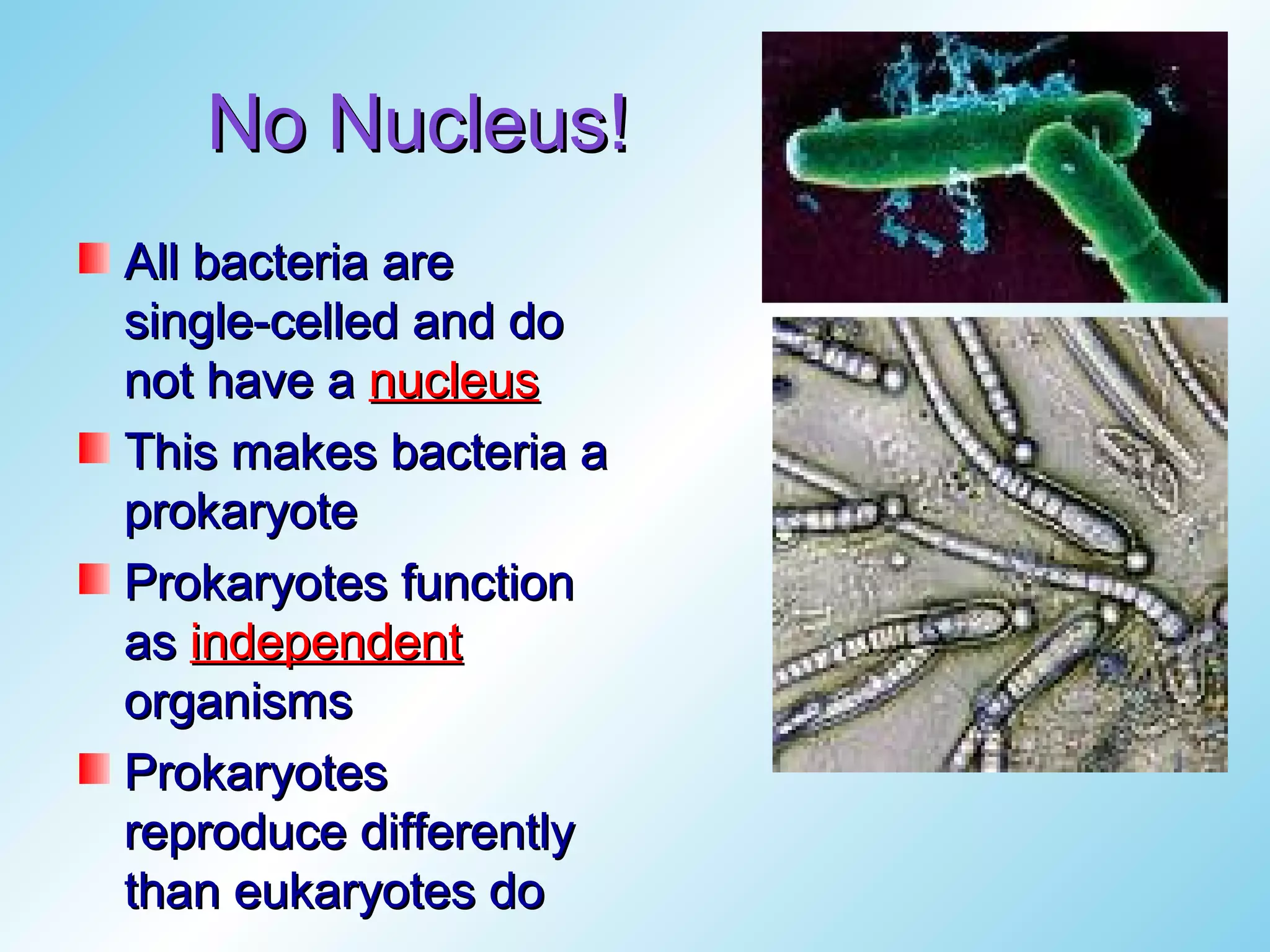 No Nucleus!
All bacteria are
single-celled and do
not have a nucleus
This makes bacteria a
prokaryote
Prokaryotes function
as independent
organisms
Prokaryotes
reproduce differently
than eukaryotes do
 