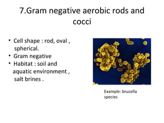 7.Gram negative aerobic rods and
                 cocci
• Cell shape : rod, oval ,
  spherical.
• Gram negative
• Habitat ...