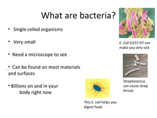 What are bacteria?
• Single celled organisms

• Very small                                                E. Coli O157:H7 ...