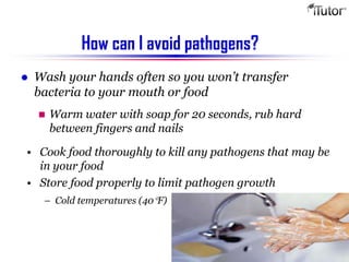 Bacteria | PPTX