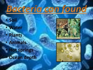 • Soil
• Water
• Plants
• Animals
• Hot springs
• Ocean depth
 