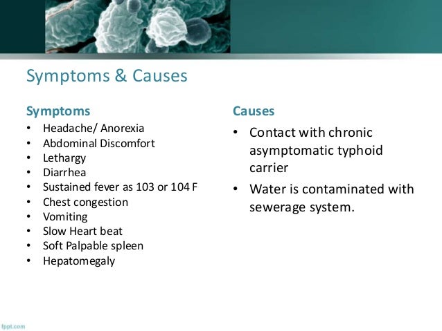 Kidney bladder infection