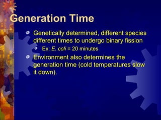 Bacteria | PPT