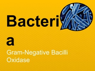 Bacteri
a
Gram-Negative Bacilli
Oxidase
 