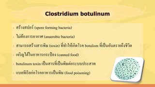 › สร้างสปอร์ (spore forming bacteria)
› ไม่ต้องการอากาศ (anaerobic bacteria)
› สามารถสร้างสารพิษ (toxin) ที่ทาให้เกิดโรค botulism ที่เป็นอันตรายถึงชีวิต
› เจริญได้ในอาหารกระป๋ อง (canned food)
› botulinum toxin เป็นสารที่เป็นพิษต่อระบบประสาท
› แบคทีเรียก่อโรคอาหารเป็นพิษ (food poisoning)
 