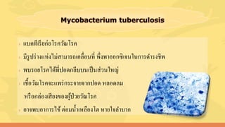 › แบคทีเรียก่อโรควัณโรค
› มีรูปร่างแท่งไม่สามารถเคลื่อนที่ พึ่งพาออกซิเจนในการดารงชีพ
› พบรอยโรคได้ที่ปอดกลีบบนเป็นส่วนใหญ่
› เชื้อวัณโรคจะแพร่กระจายจากปอด หลอดลม
หรือกล่องเสียงของผู้ป่วยวัณโรค
› อาจพบอาการไข้ต่อมน้าเหลืองโต หายใจลาบาก
 