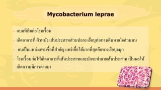 › แบคทีเรียก่อโรคเรื้อน
› เกิดอาการที่ ผิวหนัง เส้นประสาทส่วนปลาย เยื่อบุท่อทางเดินหายใจส่วนบน
› คนเป็นแหล่งแพร่เชื้อที่สาคัญ แพร่เชื้อได้มากที่สุดคือทางเยื่อบุจมูก
› โรคเรื้อนก่อให้เกิดอาการที่เส้นประสาทและมักจะทาลายเส้นประสาท เป็นผลให้
เกิดความพิการตามมา
 