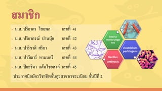 › น.ส. ปริยากร ไชยพล เลขที่ 41
› น.ส. ปรียาภรณ์ ปานนุ้ย เลขที่ 42
› น.ส. ปาริชาติ ศรียา เลขที่ 43
› น.ส. ปาวีณาร์ หามนตรี เลขที่ 44
› น.ส. ปิยะธิดา แต้มไชยสงค์ เลขที่ 45
ประกาศนียบัตรวิชาชีพชั้นสูงสาขาเวชระเบียน ชั้นปีที่ 2
Bacillus
anthracis
clostridium
perfringens
listeria
monocytoge
nes
 