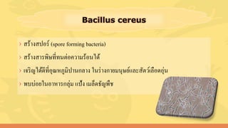 › สร้างสปอร์ (spore forming bacteria)
› สร้างสารพิษที่ทนต่อความร้อนได้
› เจริญได้ดีที่อุณหภูมิปานกลาง ในร่างกายมนุษย์และสัตว์เลือดอุ่น
› พบบ่อยในอาหารกลุ่ม แป้ง เมล็ดธัญพืช
 