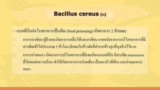 › แบคทีเรียก่อโรคอาหารเป็นพิษ (food poisoning) เกิดอาการ 2 ลักษณะ
1. อาการอาเจียน ผู้ป่วยจะเกิดอาการคลื่นไส้และอาเจียน ภายหลังจากการบริโภคอาหารที่มี
สารพิษเข้าไปประมาณ 5 ชั่วโมง มักพบในข้าวผัดที่ทาจากข้าวสุกที่หุงค้างไว้นาน
2. อาการถ่ายเหลว เกิดจากการบริโภคอาหารที่มีเซลล์ของแบคทีเรีย มีสารพิษ enterotoxin
ที่ไม่ทนต่อความร้อน ทาให้เกิดอาการการปวดท้อง เป็นตะคริวที่ท้อง และถ่ายอุจจาระ
เหลว
 