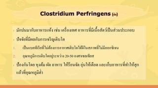 › มักปนมากับอาหารแห้ง เช่น เครื่องเทศ อาหารที่มีเนื้อสัตว์เป็นส่วนประกอบ
› ปัจจัยที่มีผลกับการเจริญเติบโต
1. เป็นแบคทีเรียที่ไม่ต้องการอากาศเติบโตได้ดีในสภาพที่ไม่มีออกซิเจน
2. อุณหภูมิการเติบโตอยู่ระหว่าง 20-50 องศาเซลเซียส
› ป้องกันโดย หุงต้ม ผัด อาหาร ให้ร้อนจัด อุ่นให้เดือด และเก็บอาหารที่ทาให้สุก
แล้วที่อุณหภูมิต่า
 