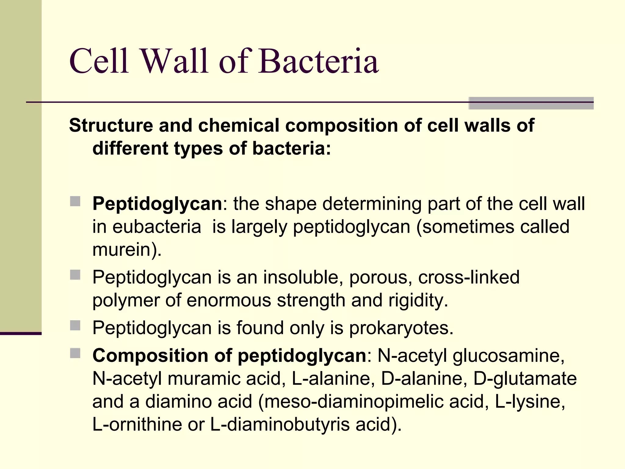 Morphology and Structure of Bacteria | PPT