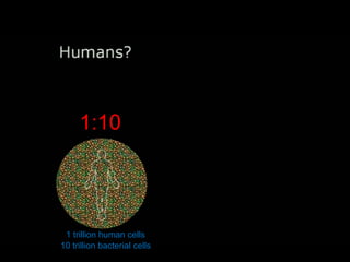 1:10

1 trillion human cells
10 trillion bacterial cells

 