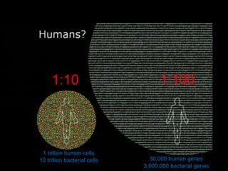 1:10

1 trillion human cells
10 trillion bacterial cells

1:100

30,000 human genes
3,000,000 bacterial genes

 
